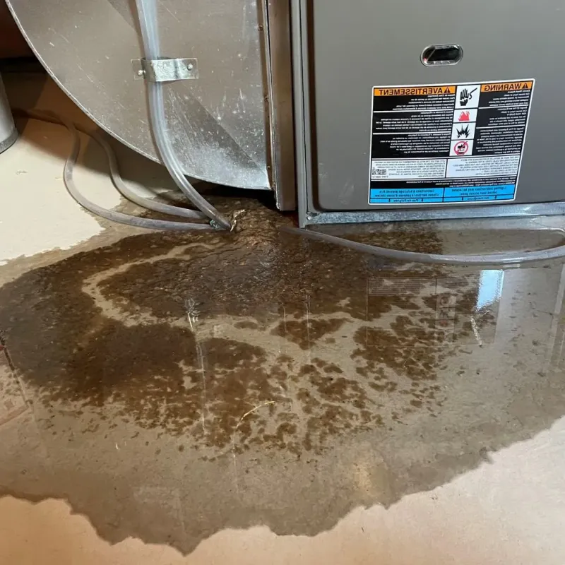 Pipe Burst and Leak Restoration in Greenbrier, TN