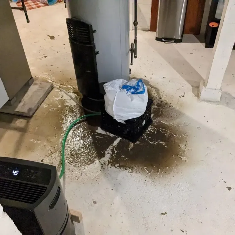 Sewage Backup Cleanup Service in Greenbrier, TN